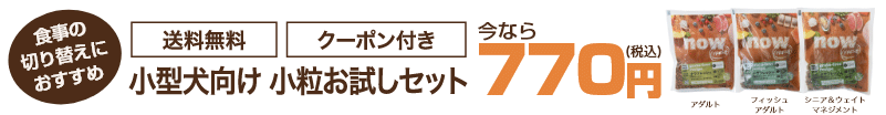 小型犬 お試しセット