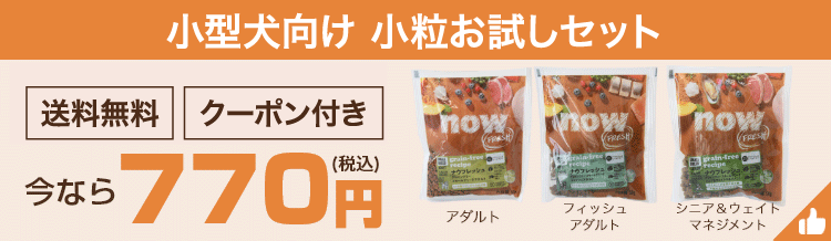 小型犬 お試しセット