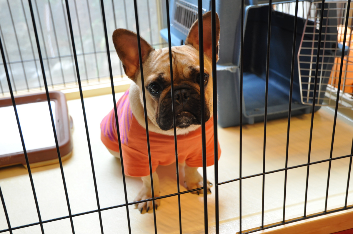 椎間板ヘルニアの治療法は？