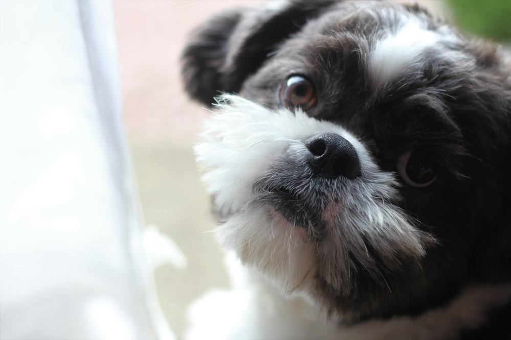 夏は皮膚トラブルが起こりやすい