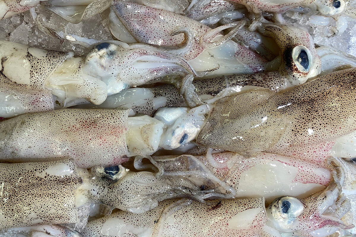 ビタミンB1欠乏症