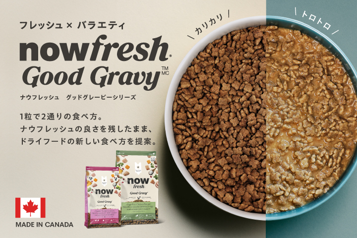 ナウフレッシュ　グッドグレービー