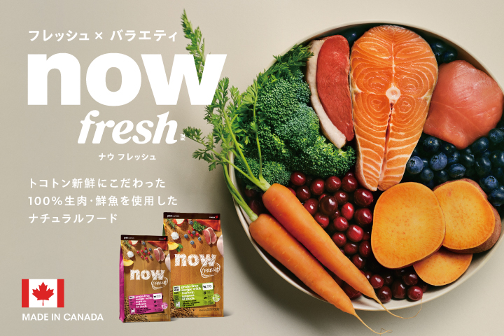 ナウフレッシュ