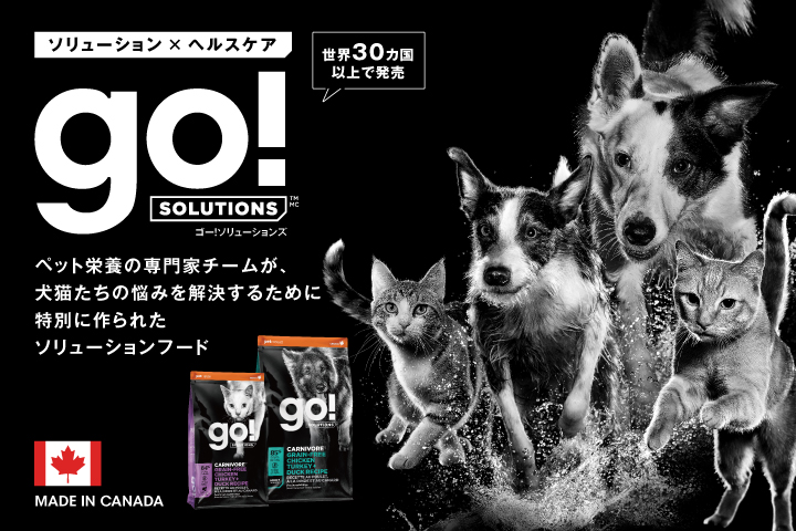 ゴーソリューション