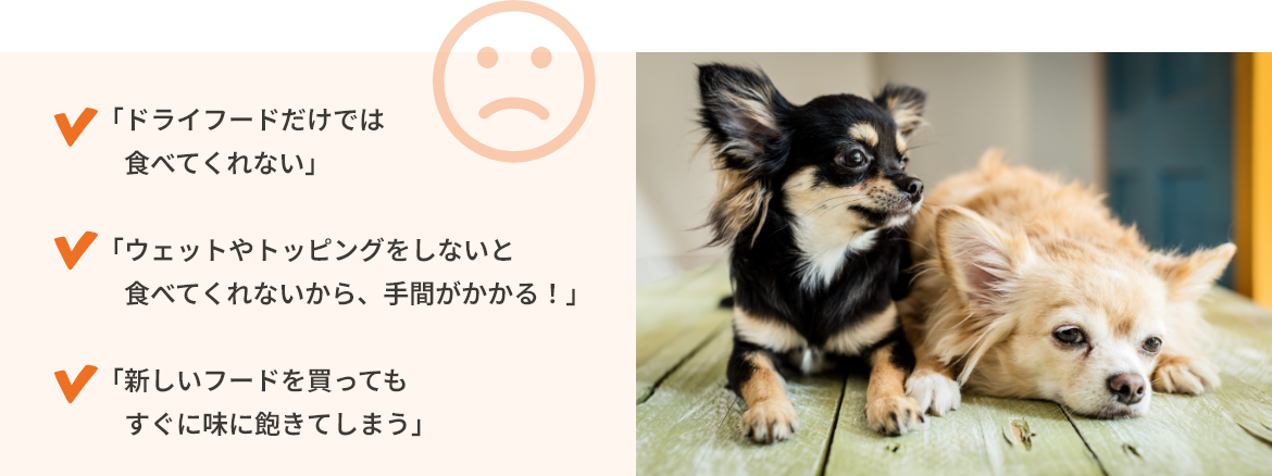 「ドライフードだけでは食べてくれない」「ウェットやトッピングをしないと食べてくれないから、手間がかかる！」「新しいフードを買ってもすぐに味に飽きてしまう」