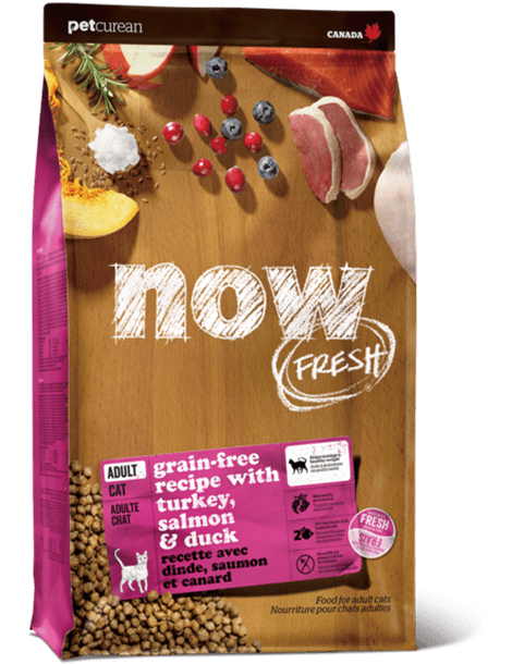 アダルトキャット