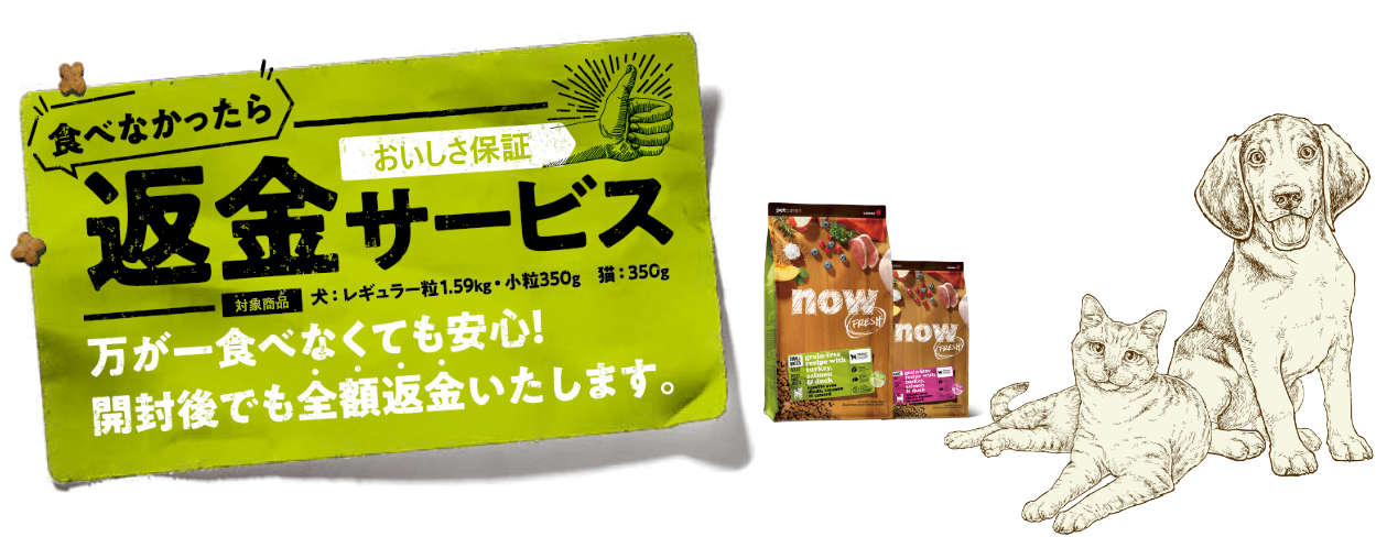 GO!SOLUTIONS 食べなかったら返金キャンペーン