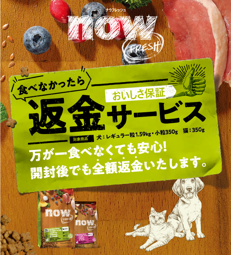 GO!SOLUTIONS 食べなかったら返金キャンペーン