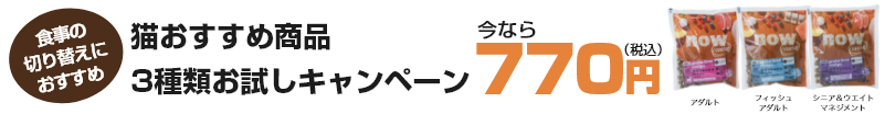 猫 お試しセット