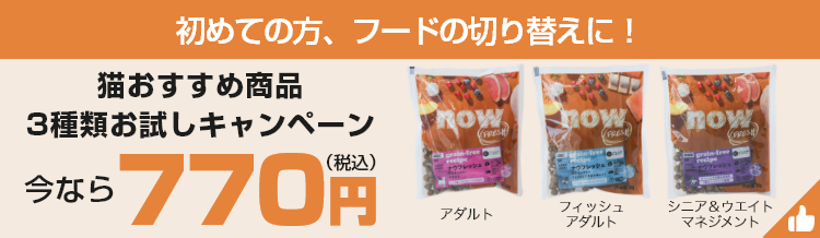 猫 お試しセット